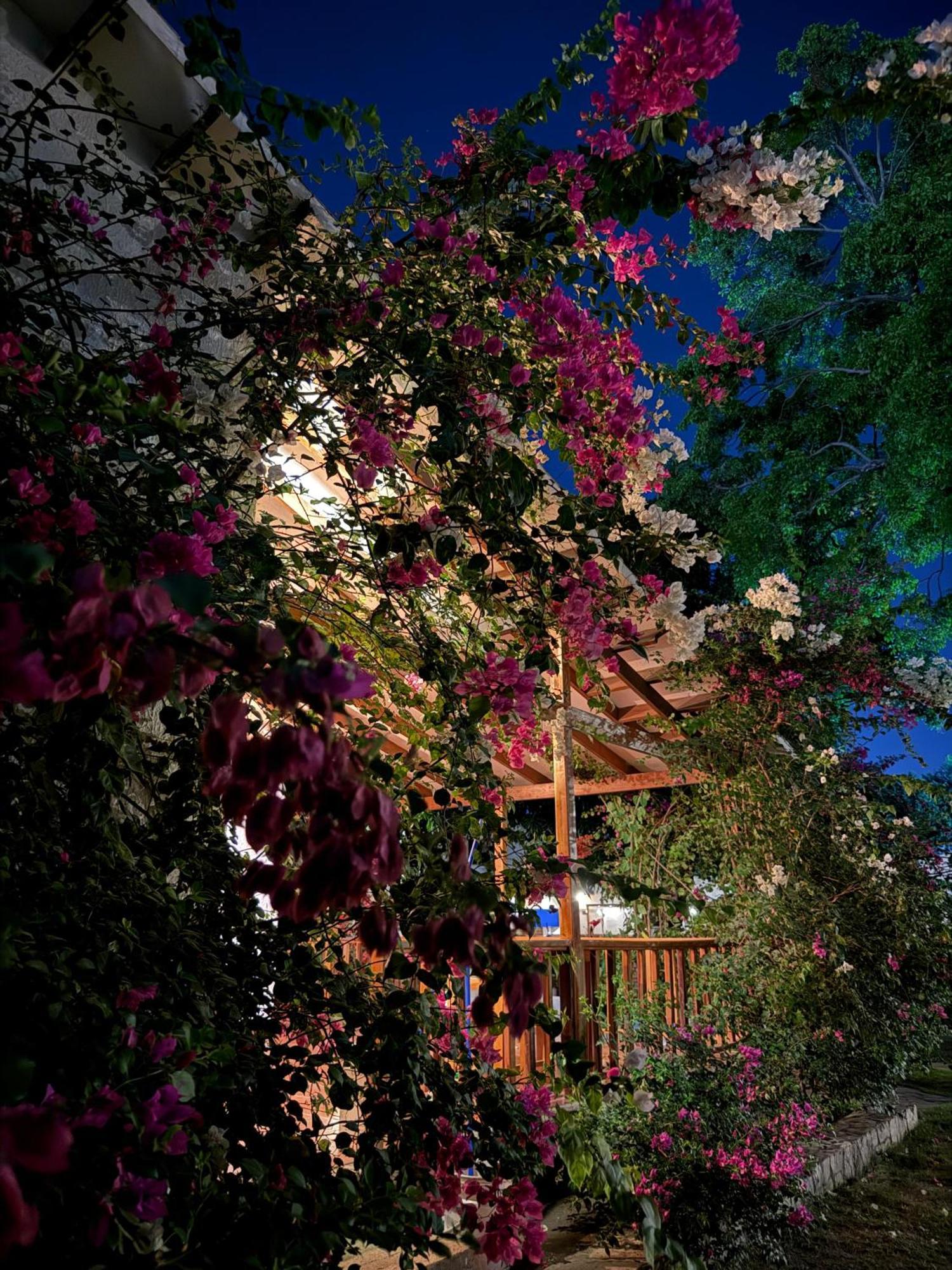 Hotel Jardin Boutique Rodadero Santa Marta  Buitenkant foto