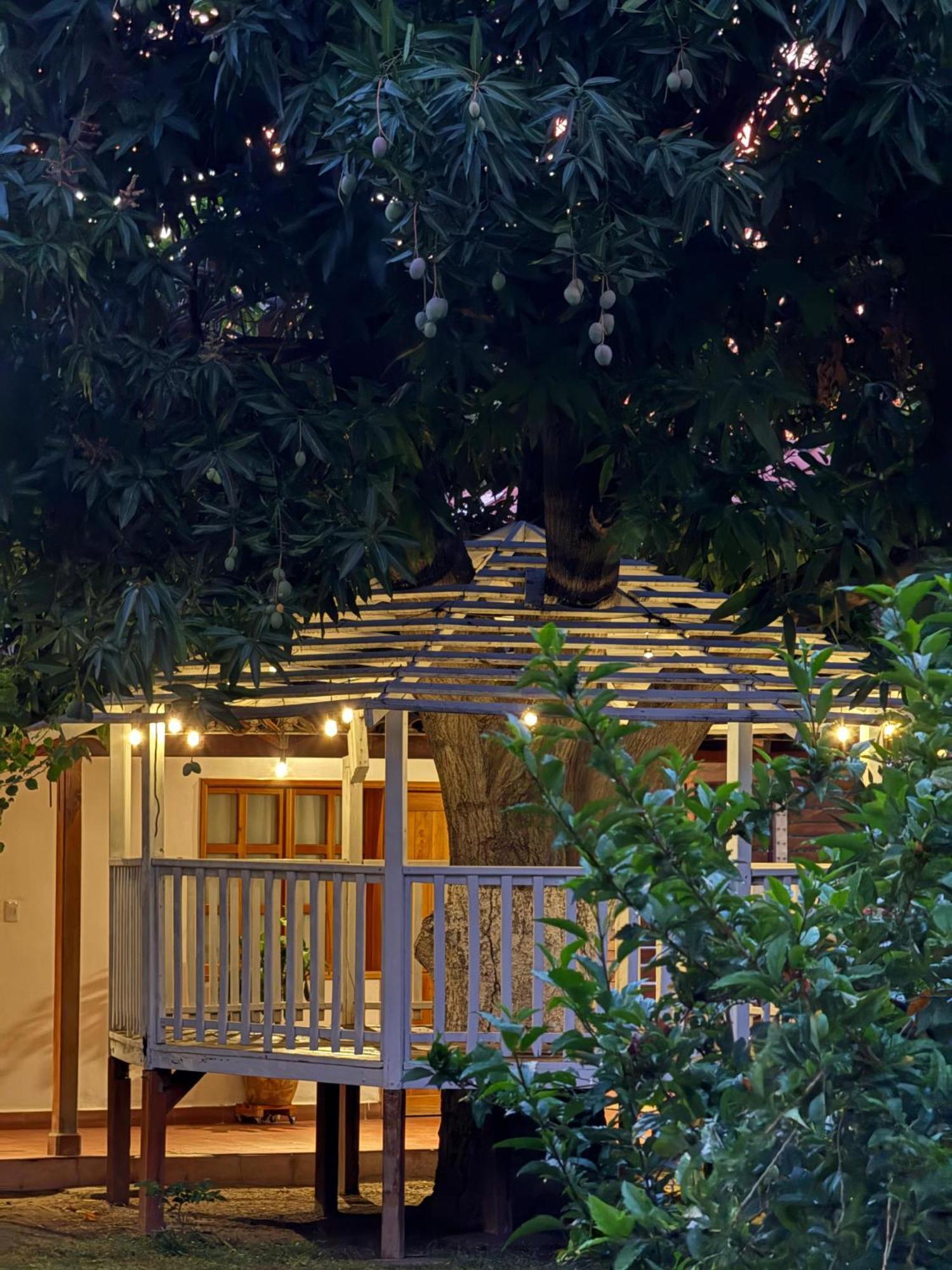 Hotel Jardin Boutique Rodadero Santa Marta  Buitenkant foto