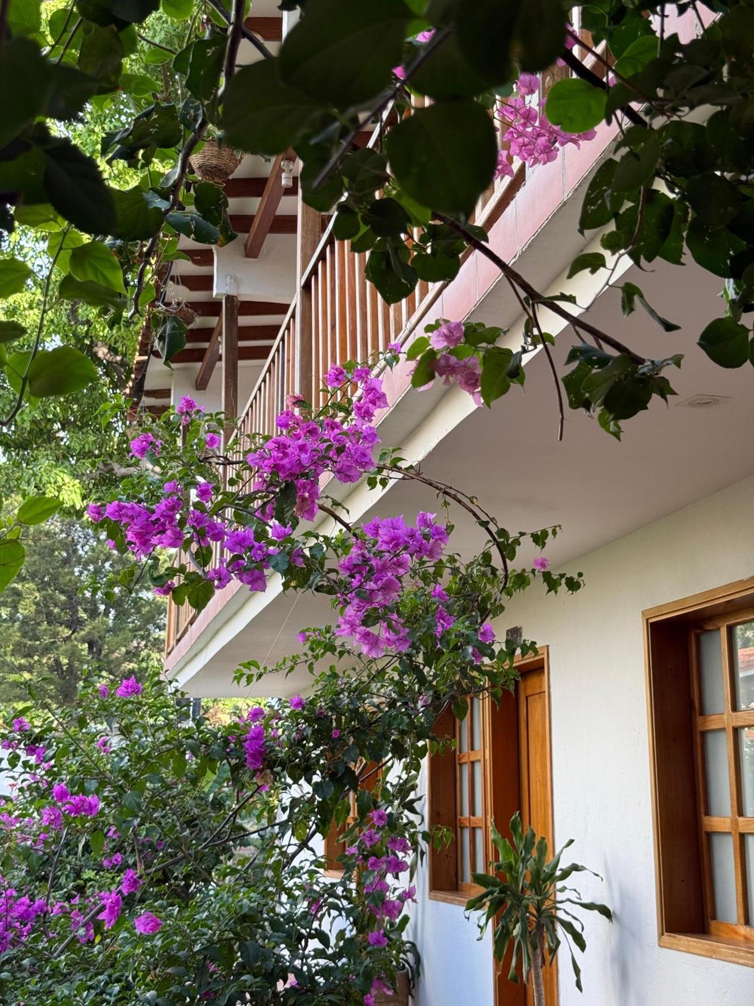 Hotel Jardin Boutique Rodadero Santa Marta  Buitenkant foto